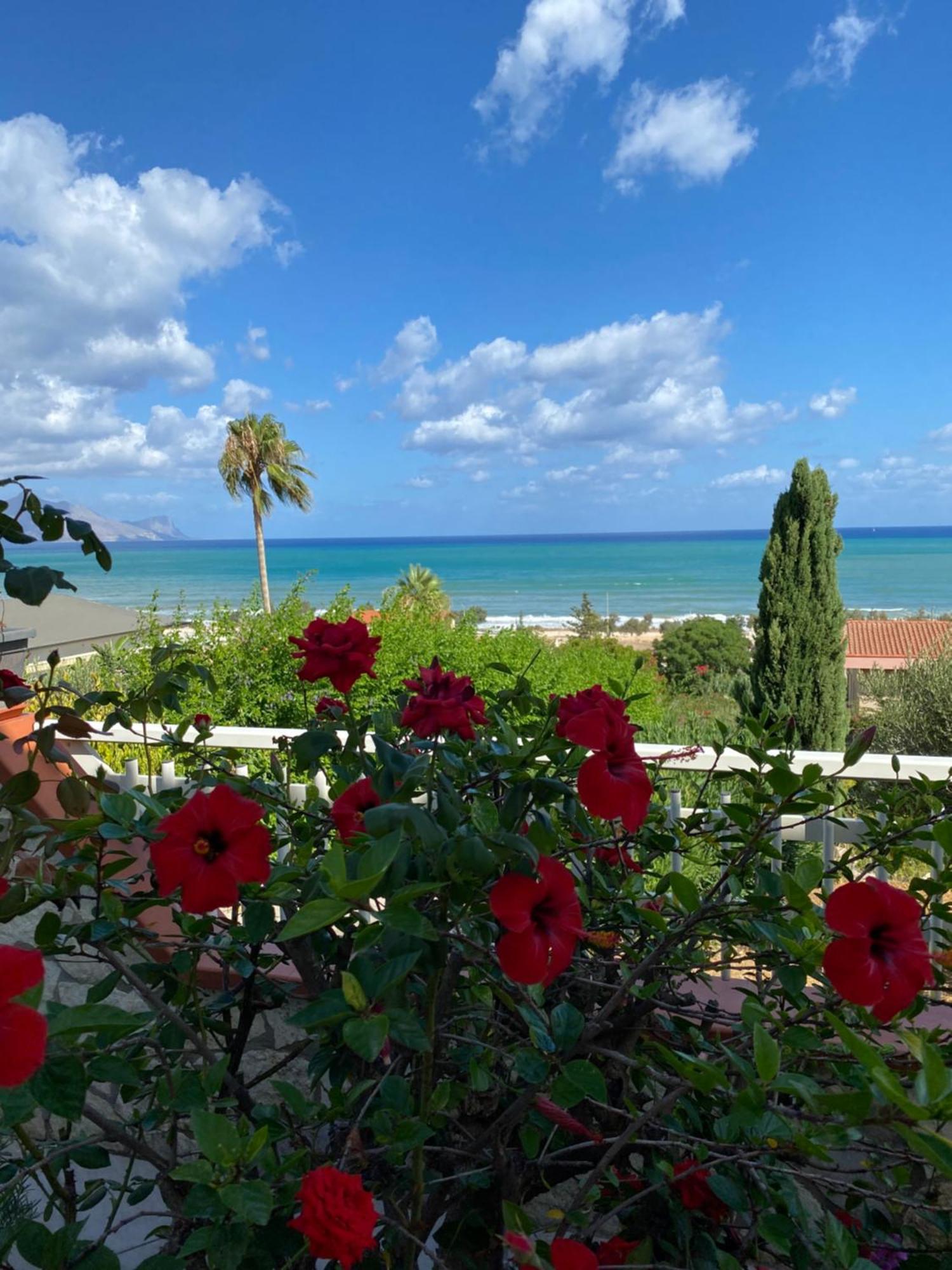 Villa Mare Giuggiola อัลกาโมมารีนา ภายนอก รูปภาพ