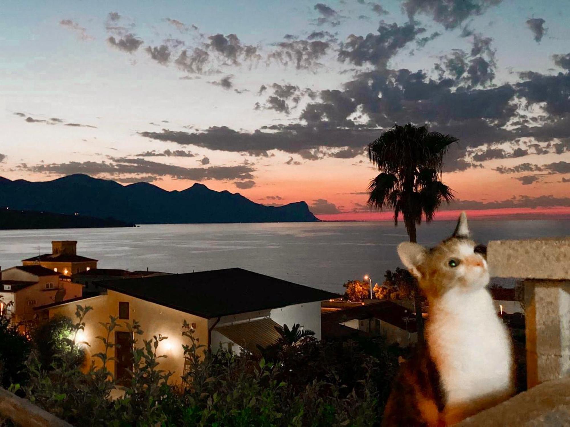 Villa Mare Giuggiola อัลกาโมมารีนา ภายนอก รูปภาพ